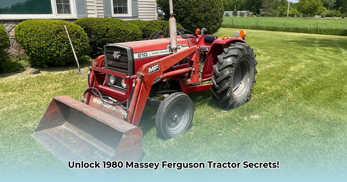 1980-massey-ferguson-tractor